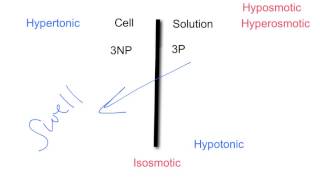 Tonicity amp Osmolarity [upl. by Rhine131]