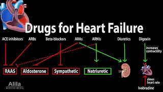 Pharmacology Drugs for Heart Failure Animation [upl. by Hoeg]