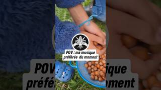 Que font ces petits écureuils  🐿🥜🌲 [upl. by Ora]