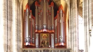 Großer Gott wir loben Dich RiegerOrgel Münster StGeorg Dinkelsbühl [upl. by Bab706]