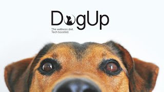 DogUp  La dieta su misura per il tuo cane SUB ENG [upl. by Marin]