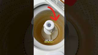 I Saved This Washing Machine cleaning satisfying cleaningtips [upl. by Gies]