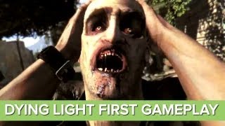 DYING LIGHT All Cutscenes Full Game Movie 1080p HD [upl. by Avirt]