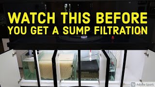 Aquarium SUMP Filtration  Pros amp Cons [upl. by Oneal145]