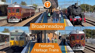 Transport for Sydney Vlog 644 Broadmeadow Part 2  Featuring Heritage Trains [upl. by Gans]