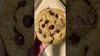 Single Serving Chocolate Chip Cookie 😉 [upl. by Longmire911]