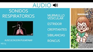 RUIDOS RESPIRATORIOS AUDIO [upl. by Wyatt]