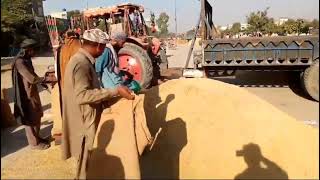 new rate of mungi 1509  supri  chnab grain market hafizabad [upl. by Nikki275]