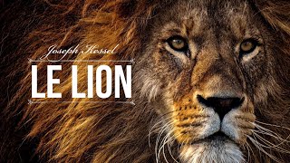 Lecture 1 Le Lion [upl. by Salvucci541]