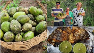 COLHEITA de cajÃ¡manga e macaxeira  PESCARIA e TILÃPIA frita pro jantar [upl. by Lambart]