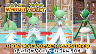 How To Evolve Ralts Into Gardevoir And Gallade In Pokemon Scarlet and Violet [upl. by Sorodoeht875]