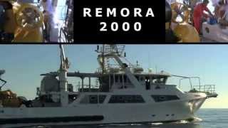 Navire Minibex  Sousmarin Remora 2000 [upl. by Waiter759]