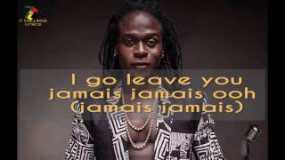 Mr Leo  Jamais Jamais Lyrics [upl. by Eynenihc]