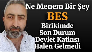 Ne Menem Bir Şey BES 2 Ay Birikimde Son Durum [upl. by Cronin]