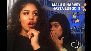 HRVY amp MALU TREVEJO  HASTA LUEGO REACTION [upl. by Columbyne]