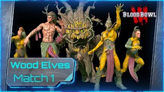 AndyDavo Does Wood Elves To Master Undead  Match 1 [upl. by Ahsyle]