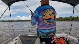 Daintree River Fun👍🦀🐟🤪 [upl. by Hayila]