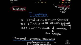 Chronic and Granulomatous Inflammation [upl. by Ahsiloc]