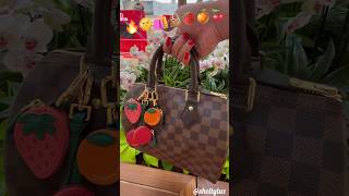 LOUIS VUITTON SPEEDY 25 DAMIER EBENE WENT SHOPPING TODAY  speedy lvspeedy [upl. by Akimas740]