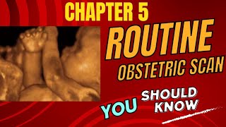 Routine Obstetric Scan  Chapter 5  Importance  Abnormalities  Diagnosis [upl. by Sgninnej]