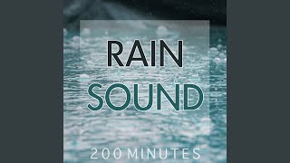 Rain Sound Pure White Noise for Natural Deep Sleep Inducing [upl. by Aruat]