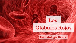 Los Globulos rojos  Hematologia Basica [upl. by Thorndike]