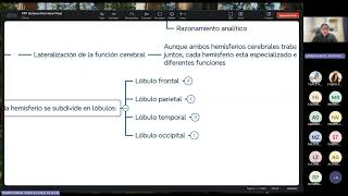 FISIOLOGIA FISIOPATOLOGIA  FASE 2  RECUPERACION 03 [upl. by Bernt]