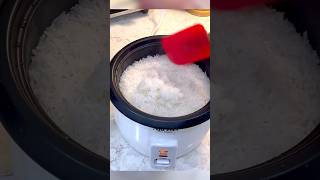 Cook Rice The Quick amp Easy Way With This Aroma Rice Cooker [upl. by Naegem440]