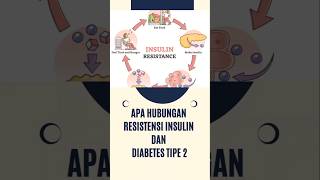 Apa Hubungan Resistensi Insulin Dengan Diabetes [upl. by Edveh659]