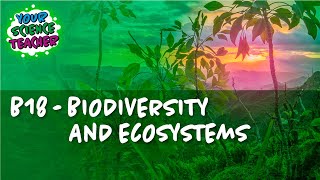 AQA GCSE 91 B18  Biodiversity and Ecosystems [upl. by Venditti]