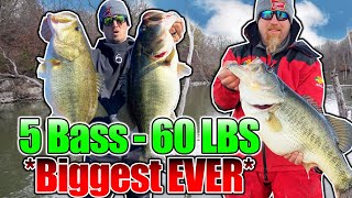 BIGGEST 5 Bass Limit EVER Caught on Film 60 POUNDS [upl. by Ahsilat]