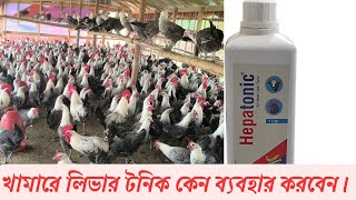 হাঁসমুরগি সুস্থ রাখতে লিভার টনিকের ব্যবহার। লিভার টনিক কি কি কাজ করে hepatonic uses [upl. by Eaton667]