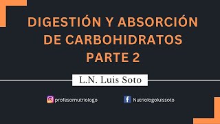 Digestión y absorción de carbohidratos Parte 2 [upl. by Nohtan]