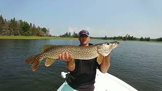 Featured Fishing Destination Kenora Lake of the Woods [upl. by Acinorehs]