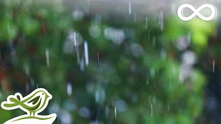 Relaxing Music amp Soft Rain Sounds  Peaceful Piano Music for Sleep amp Relaxation [upl. by Elcarim750]