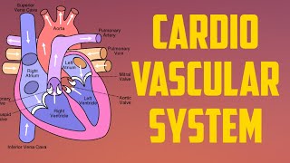 CARDIOVASCULAR SYSTEM  PART1 MEDICAL PHYSIOLOGY  UNIT3 [upl. by Wendel]