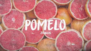 POMELO  ZEBALLOS [upl. by Streetman]