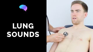 Lung sounds respiratory auscultation sounds  UKMLA  CPSA [upl. by Ardelle647]