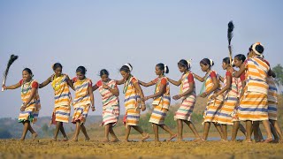 Dhemsa Dance Gadaba Tribe Odisha Hindi [upl. by Aikkan647]