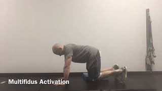 Multifidus Activation [upl. by Dan]