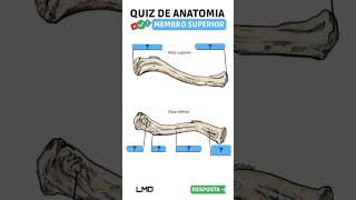 🔴👉 QUIZ DE ANATOMIA 🟨 Aula de Anatomia humana shorts [upl. by Htebezile]