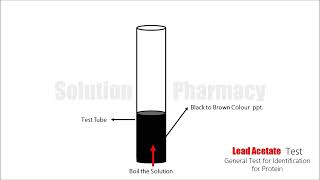 Lead Acetate Test  Biochemical test for Protein  Animation Video Hindi [upl. by Atiekahs]