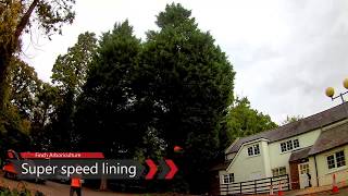 Super speed lining  Conifer tree removal [upl. by Raycher]