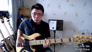 Bartolini Classic Dual Coil Jazz Pickups 57CBJD1 Fender American Deluxe Jazz Bass Upgrade [upl. by Sucy384]