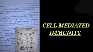 CELL MEDIATED IMMUNITY NOTES immunologynotes zoology bsczoology vbu bbmku skmu zoologynotes [upl. by Sassan]