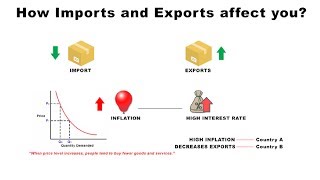 How Imports and Exports Affect You  Economics [upl. by Joellyn]