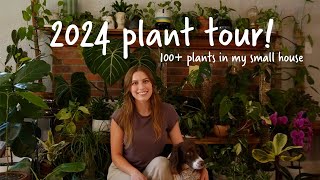 Houseplant tour 2024 Over 100 rare and common plants in my small house [upl. by Yalcrab44]