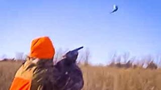 Amazing South Dakota Pheasant Hunting [upl. by Nizam]