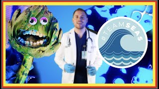 Emergency Surgery with TeamSeas MrBeast launches campaign DiscountDentist Ep 185 FruitSurgery [upl. by Maisel]