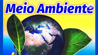 Vídeo Aula  O MEIO AMBIENTE  Conceito Importância Problemas e Preservação [upl. by Dianuj]